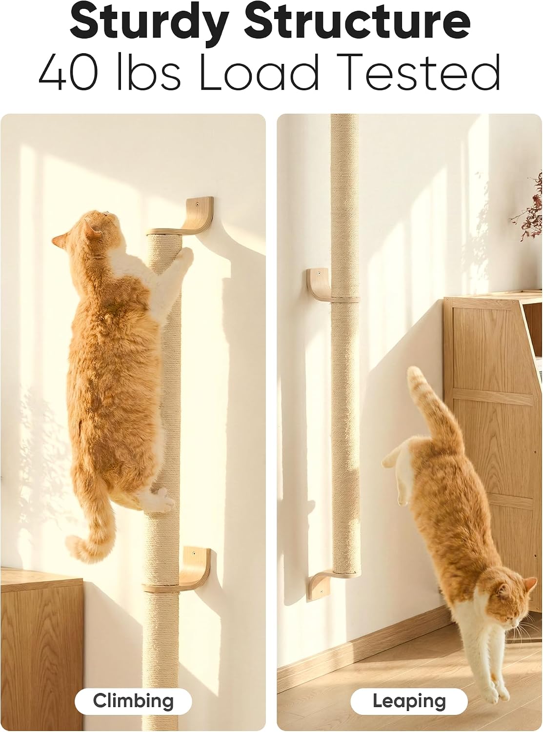 FUKUMARU Cat Wall Scratcher, 60" Tall Kitten Scratching Post – Essentials for Cats - 60 inch - image 3