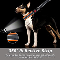 Martingale No Pull Dog Collar for Large Medium Small Dogs - L (19"-26" Neck, 1.5" Wide) / Black Orange - image 4