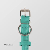 CollarDirect Rolled Leather Dog Collar, Soft Padded Round Puppy Collar, Handmade Genuine Leather Collar Dog Small Large Cat Collars 13 Colors (15-19 Inch, Mint Green Textured)