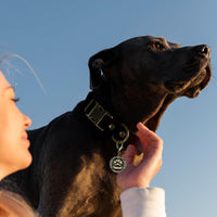 Wisedog Rubber Dog Collar with Quick Release, XS 8.5"-12" - Brown / M(Collar:12"-18") - image 4