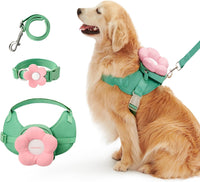 VETRESKA Flora Dog Harness, Leash and Collar Set - L