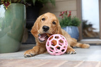 JW Pet HOL-ee Roller Dog Puzzle Ball, Large 5.5in - Pink / Large - image 4