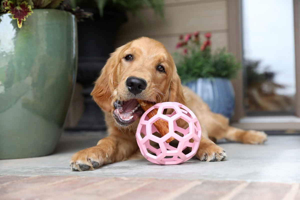 JW Pet HOL-ee Roller Dog Puzzle Ball, Large 5.5in - Pink / Large - image 4