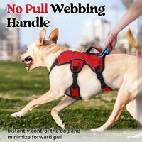 rabbitgoo Escape Proof Dog Harness for Large - Red / X-Large - image 4