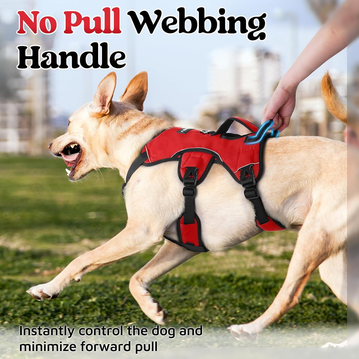 rabbitgoo Escape Proof Dog Harness for Large - Red / X-Large - image 4