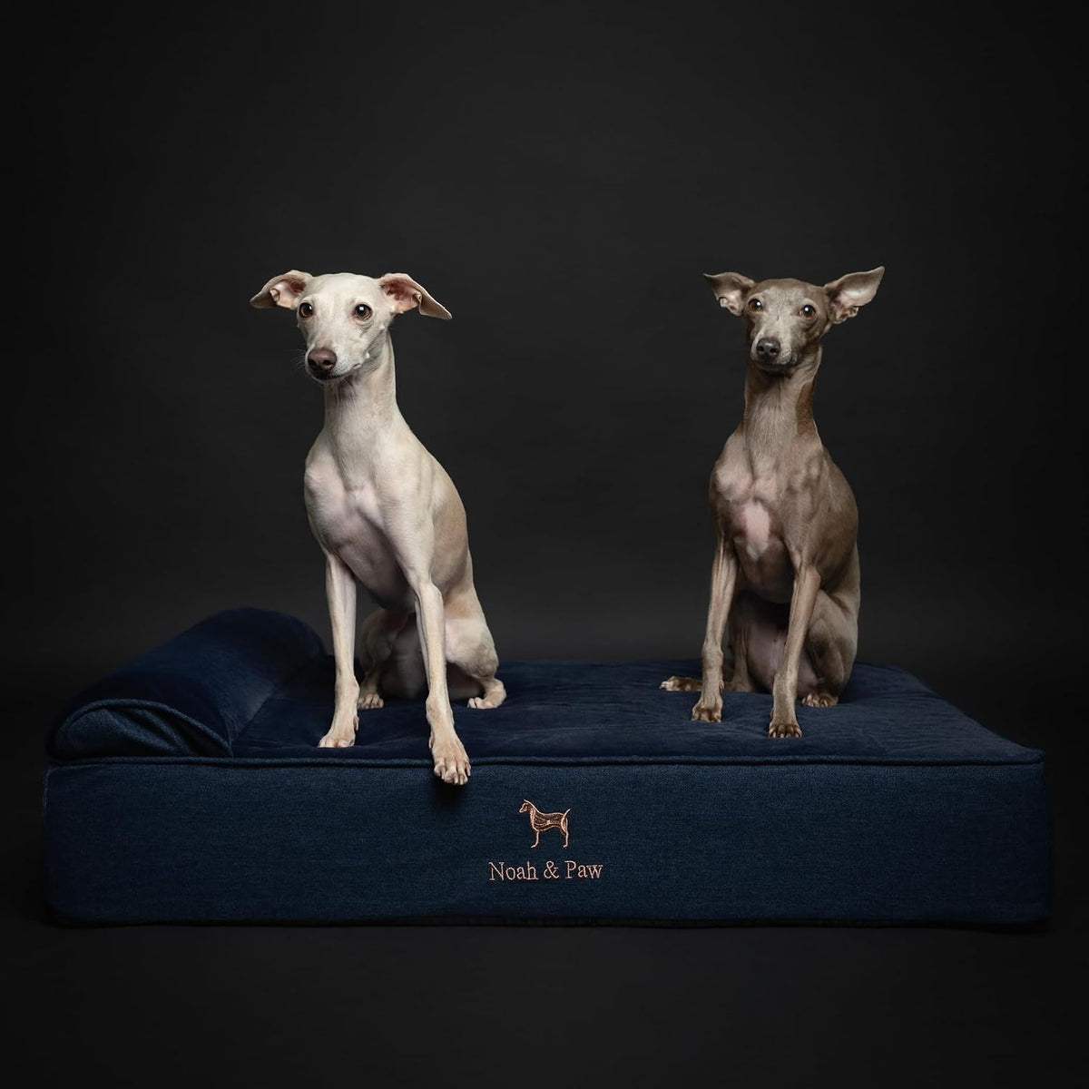 Large Dog Bed Orthopedic Memory Foam Cooling Gel 35x25x8.7 in – Essentials for Dogs - Dark Blue - DE / Large - image 2