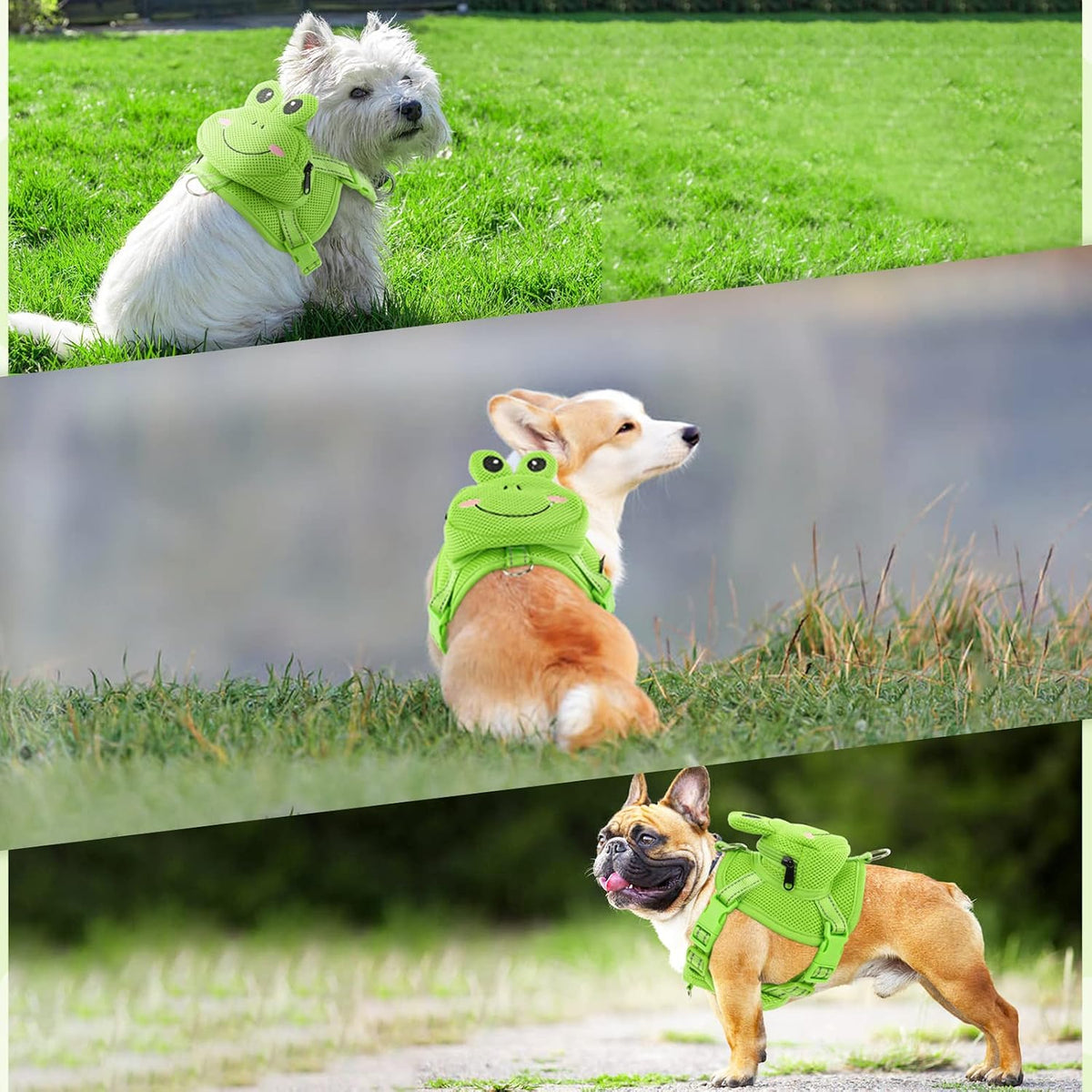 Dog Harness with Backpack - 23.6"L x 10.0"W x 0.8"H / Green Frog - image 3