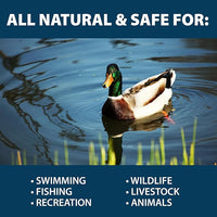 Airmax PondClear Packets, Beneficial Bacteria & Enzyme Clarifier Treatment with Ecoboost PRx, Clear & Clean Pond & Lake Water, Safe for Fish, 24 Count