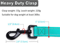 3 Handle Dog Leash 10FT Triple Handle Reflective Large Medium Dogs – Essentials for Dogs - Turquoise - image 3