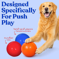 Doggie Dooley Virtually Indestructible Dog Ball - Assorted / Small (4.5 inch) - image 3