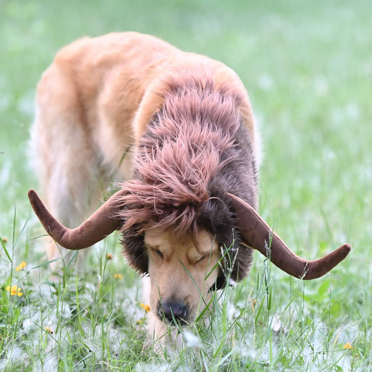 Funny Pet Reindeer Moose Costumes for Dog - Bull / Size L