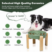 Elevated Slow Feeder Dog Bowl - Green / 3.2 Cups - image 4