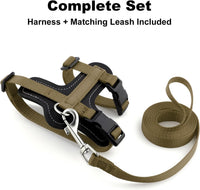 Plutus Pet Adjustable Cat Harness and Leash Set - Brown - image 2
