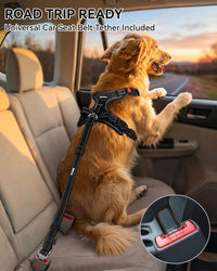 Joytale No Pull Dog Harness & Seat Belt, Easy On 3-Buckle, L - Black / Extra Large - image 3