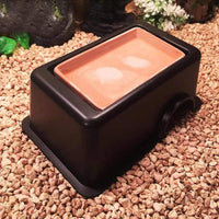 Reptile Hide Box, Humid Hideout Cave for Reptiles Snake Hide Lizards Hideaway Hut Leopard Gecko - 1 PC - image 4
