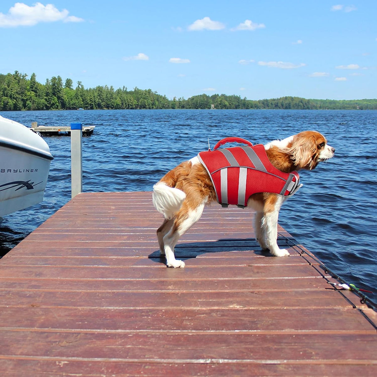 Kuoser Reflective Dog Life Jacket - XXL (Chest Girth:30.7-38.5'') / Rescue Red - image 4