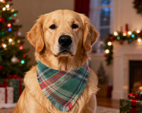 2PCS Christmas Dog Bandanas – Red and Green Plaid with Tassels - BIG FRENCHIES