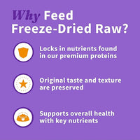 Halo Freeze Dried Raw Cat Treats, 100% Wild Caught Salmon Recipe, Cat Treats Pouch, All-Natural High Protien Treat, 1.6 Oz Pouch