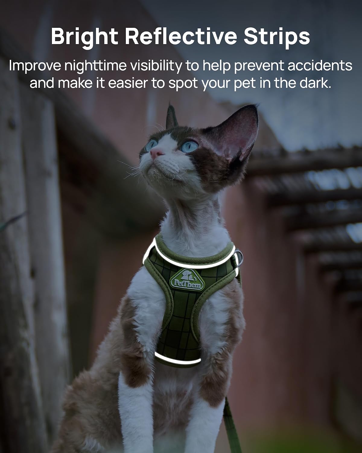 Upgraded Cat Harness and Leash Set - Green Growling Crocodile / S - image 3