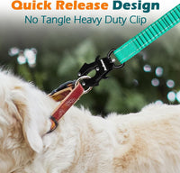 PetBonus Bungee Dog Leash Extension - Turquoise - image 2