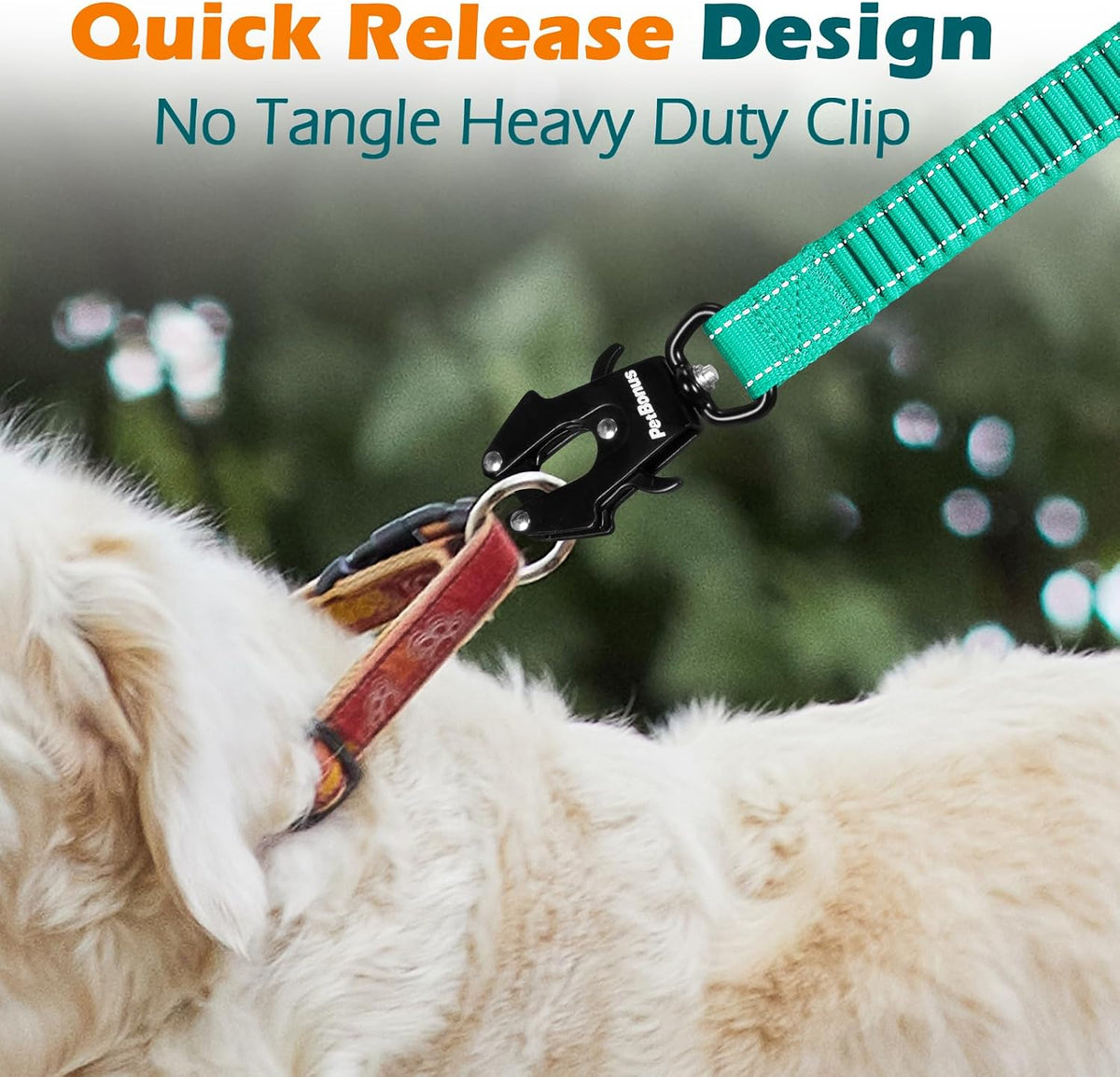 PetBonus Bungee Dog Leash Extension - Turquoise - image 2