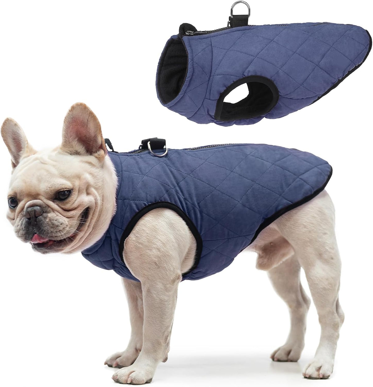 Winter Dog Vest Coat with Harness Built in – Essentials for Dogs - #1 Rolay Bule-Matte / L(Chest 19")-Regular