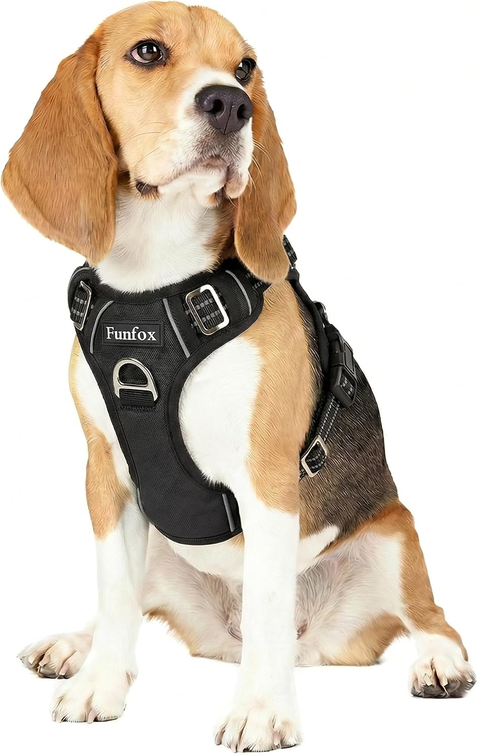 Funfox Dog Harness Medium Sized Dog - Black / Medium