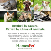 HomeoPet Feline UTI Plus, Safe and Natural Urinary Tract Medicine for Cats, Feline Urinary Tract Support, 15 Milliliters - Pack of 2