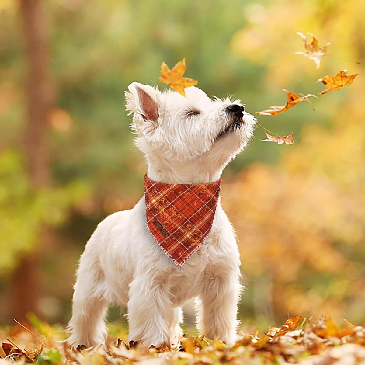 Dog Bandanas 1PC Washable Cotton Triangle Dog Scarfs for Small Medium - Small / Orange Brown Grid - image 4