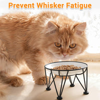 Ceramic Cat Bowls, Raised, Whisker Friendly - anti-slip raised dish,2 pack / fishbone+cat paw - image 4
