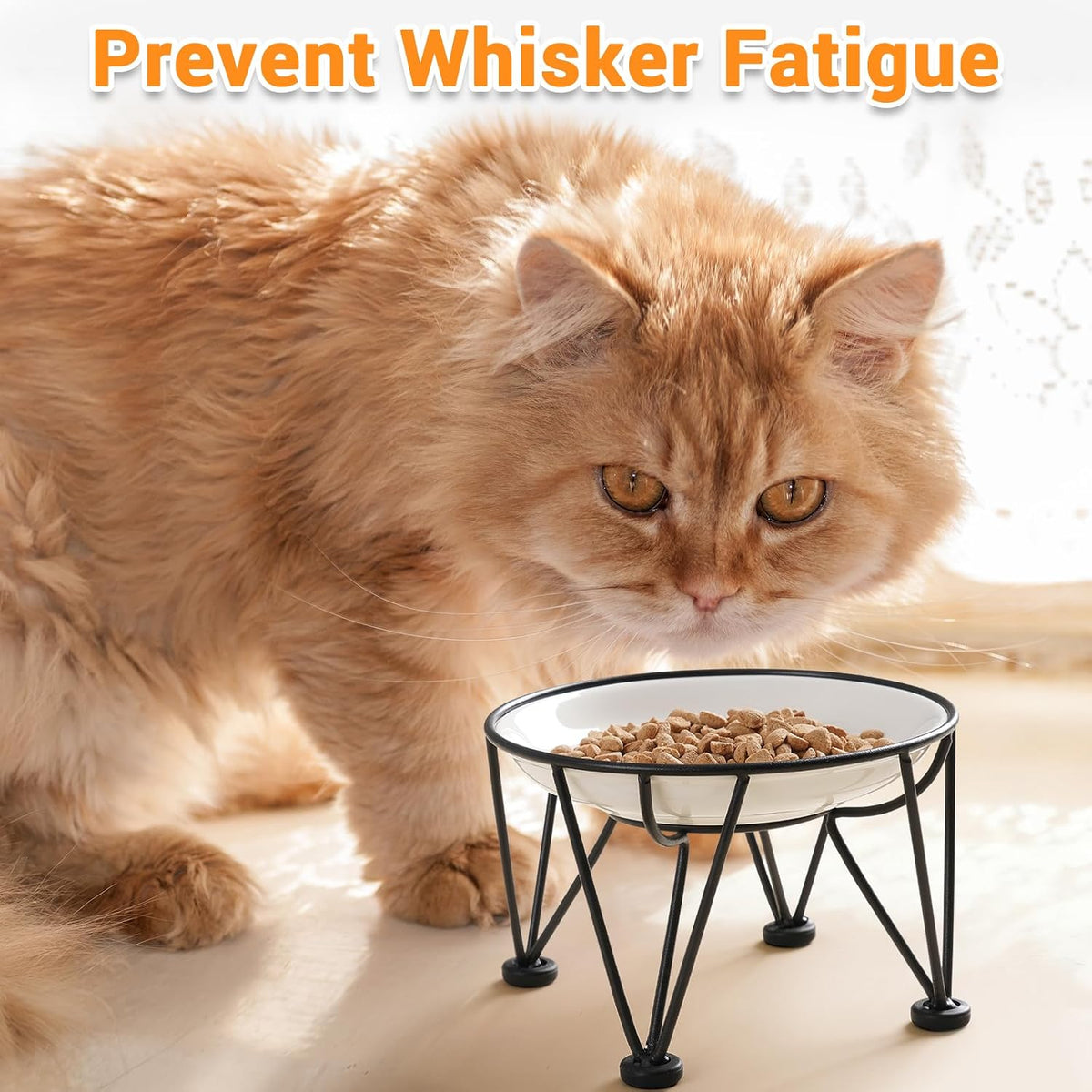 Ceramic Cat Bowls, Raised, Whisker Friendly - anti-slip raised dish,2 pack / fishbone+cat paw - image 4