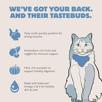 Range Rotisserie, Dry Cat Food, Chicken Meal and Turkey Meal Adult Recipe with Grains, 3 lb Bag