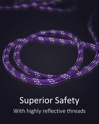 Long Dog Leash for Training 10FT/16FT/20FT/30FT/50FT/100FT - 100FT* 3/8 inch / 1Pack Purple - image 3