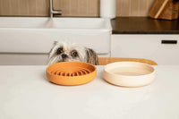 The Perfect Dish, Silicone Dog Bowl for Food & Water - Charcoal / Small (6” Across x 1.25” Tall) - image 4