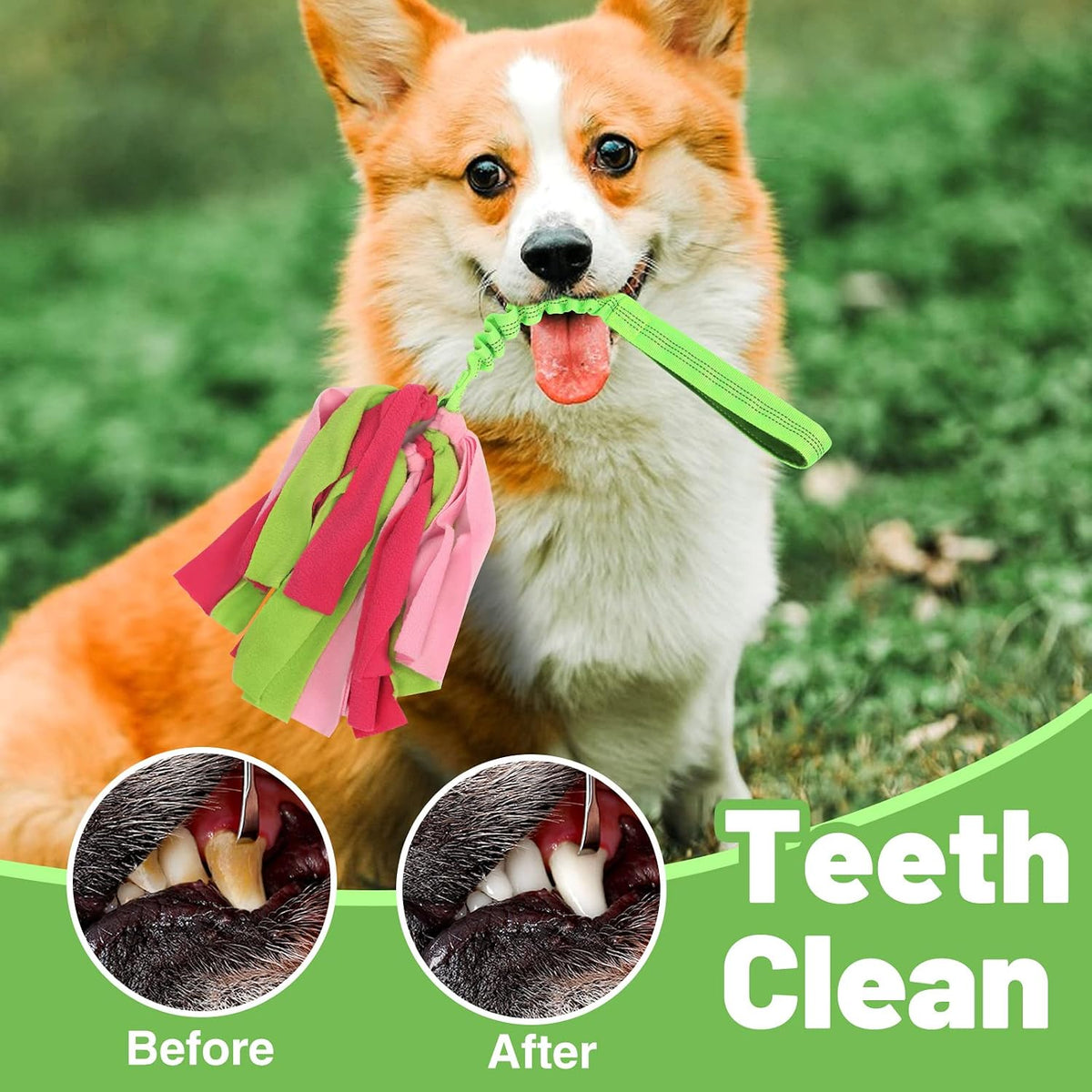 wodoca Interactive Dog Toys - Green - image 3