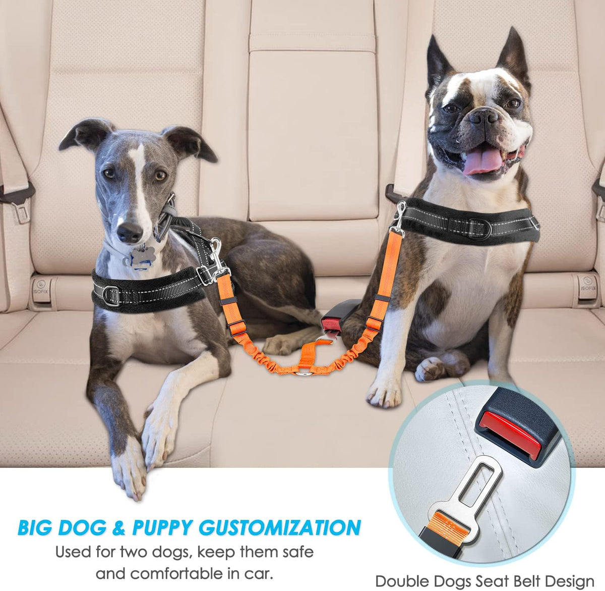 SlowTon Double Dog Seat Belt for Car with Elastic Bungee Buffer - J.Orange / 2 Medium in 1 - image 2