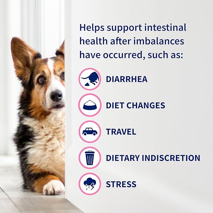 Nutramax Laboratories 30 Count Proviable Health Supplement for Cats and Dogs (PROVDC30)