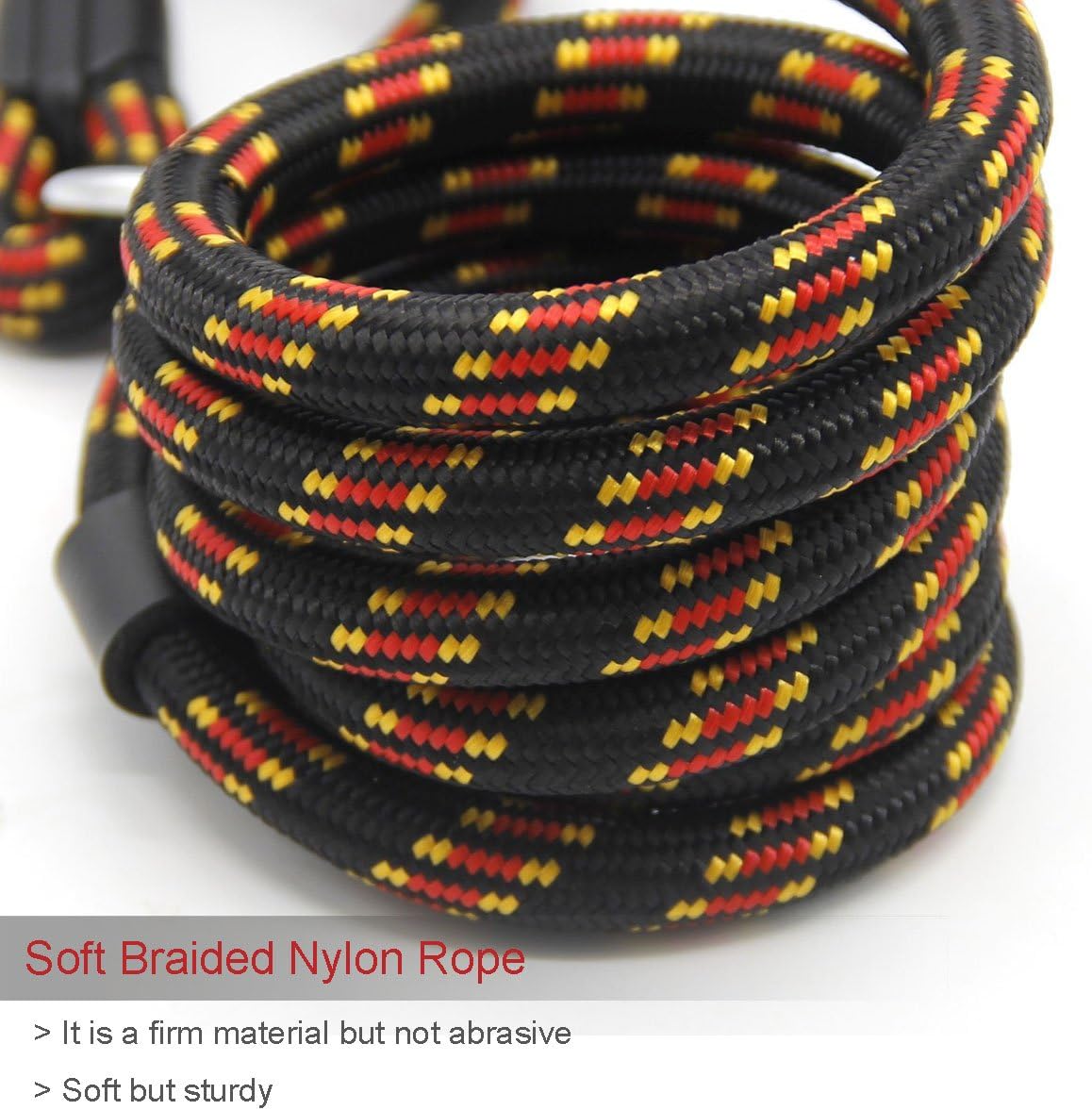 Dog Rope Leash, Dog Training Leash for 10-80 lb - Black - image 2