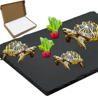 Reptile Basking Platform 6 × 6", Extra Large Reptile Slate - 15.7 × 11.8 IN