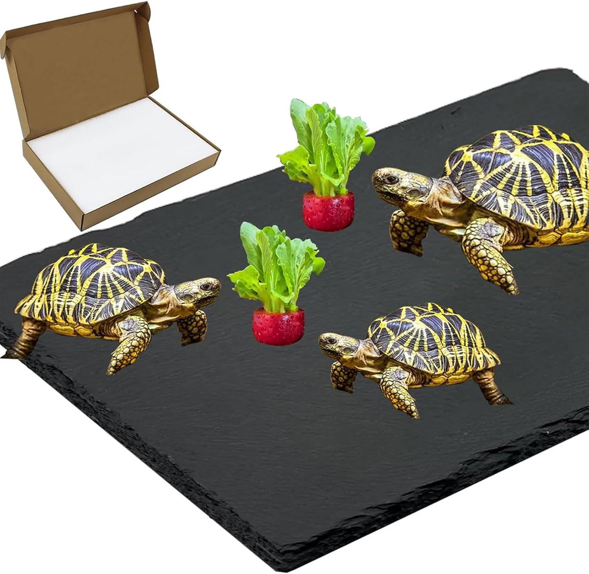 Reptile Basking Platform 6 × 6", Extra Large Reptile Slate - 15.7 × 11.8 IN