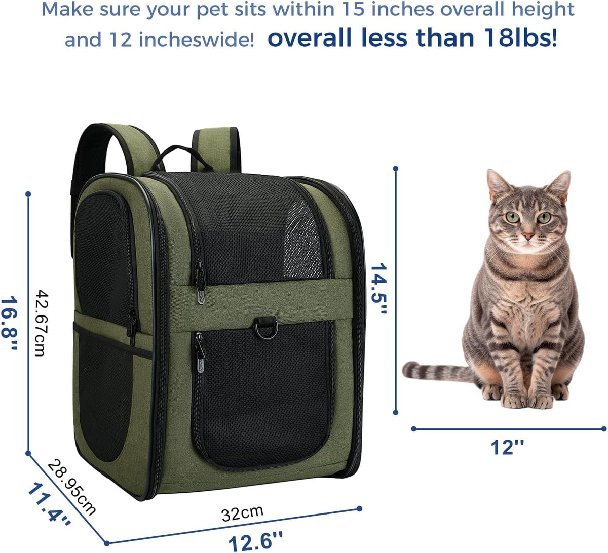 Apollo Walker Cat Backpack Carrier, Support Frame - Green / Medium-Standard - image 2