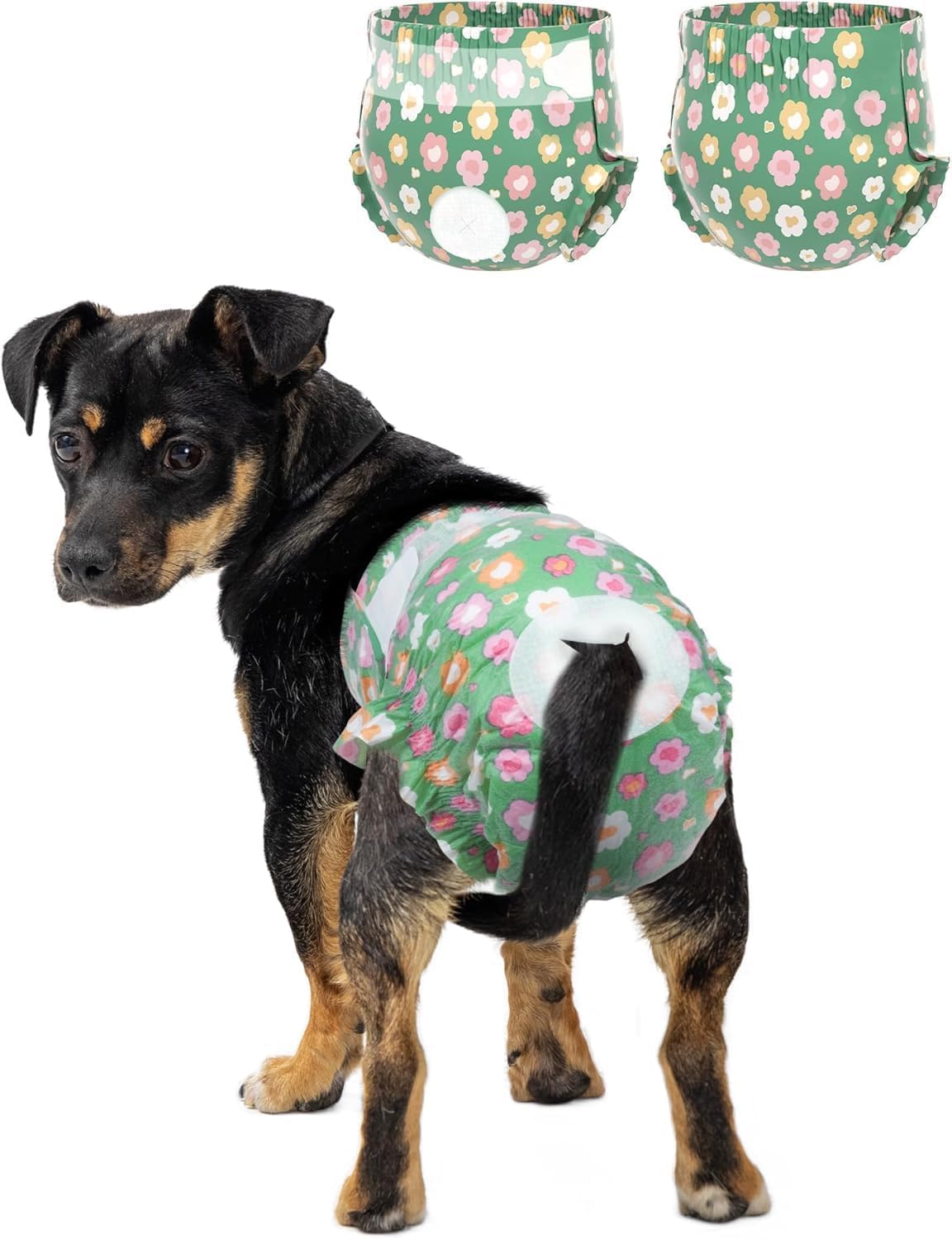 Pet Soft Dog Diapers Female, Disposable Female Dog Diaper - Green Flower / XX-Small(12Pcs)
