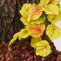 Fake Calathea Orbifolia, Reptile Terrarium Suction Plants – Essentials for Fish - Fake Heuchera Micrantha Yellow - image 4