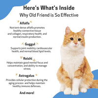 Pet Wellbeing Old Friend for Senior Cats - Supports Immune System Health, Joint Mobility, Healthy Energy Levels, Alfalfa, Reishi - Veterinarian-Formulated Herbal Supplement 2 oz (59 ml)