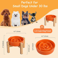 Elevated Slow Feeder Dog Bowl - Orange / 1.5 Cups - image 2