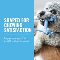 KONG Puppy Goodie Bone with Rope, Natural Rubber, for XS Puppies - Blue - image 2