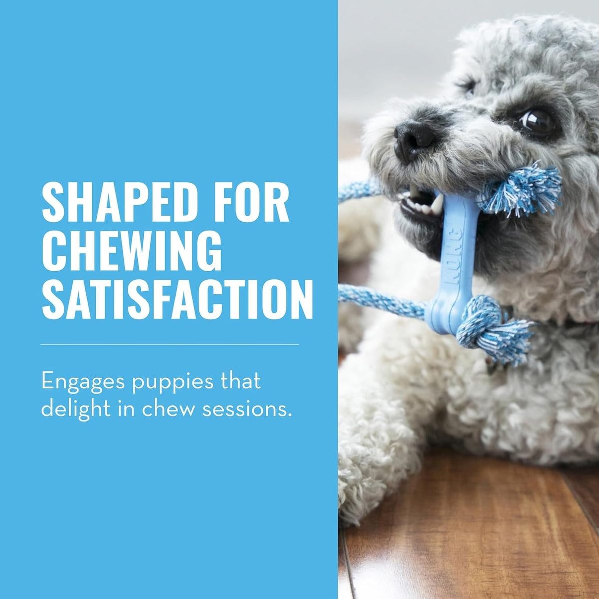 KONG Puppy Goodie Bone with Rope, Natural Rubber, for XS Puppies - Blue - image 2