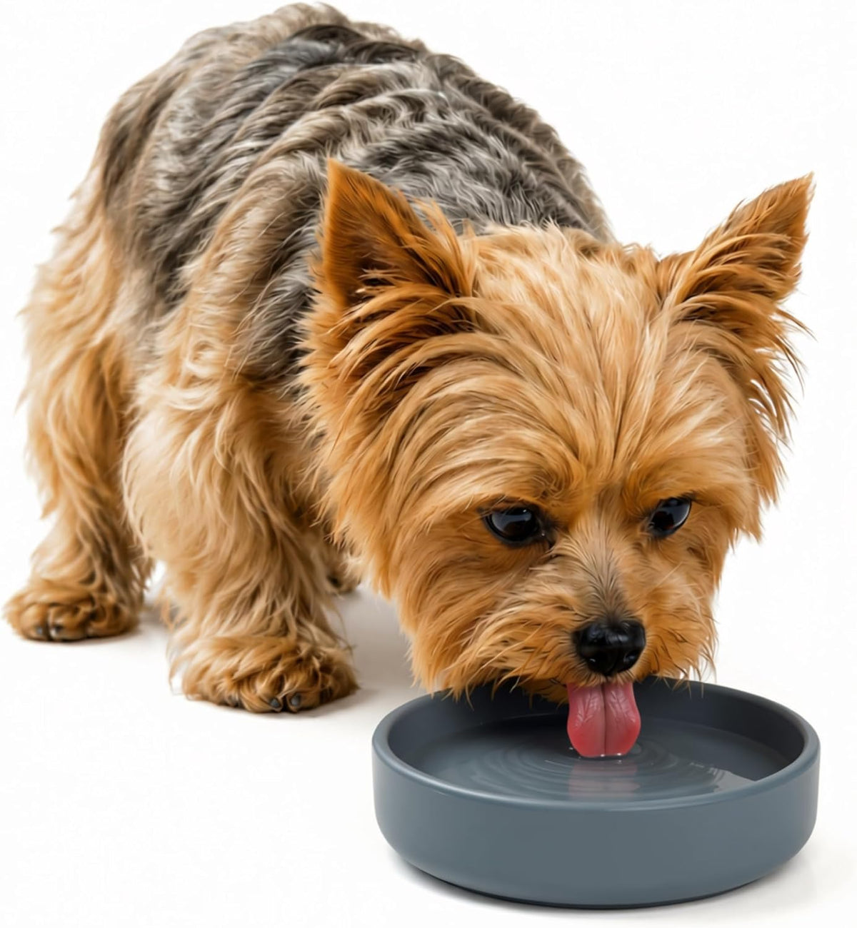 The Perfect Dish, Silicone Dog Bowl for Food & Water - Charcoal / Small (6” Across x 1.25” Tall)