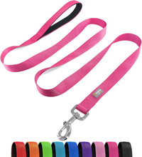 6 FT Basic Dog Leash for Medium Dogs - Hot Pink / Medium : 3/4" x 6 FT