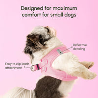 Downtown Pet Supply Step in Dog Harness for Teacup Dogs & Cats No Pull - XX-Small / Baby Pink - image 4